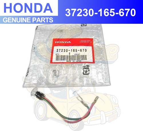 Honda genuine monkey - honda,